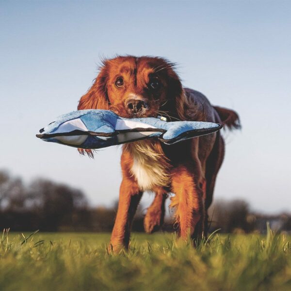 Beco Rough & Tough Recycled Plastic Dolphin