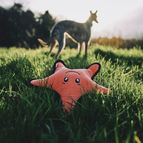 Beco Rough & Tough Recycled Plastic Starfish Toy
