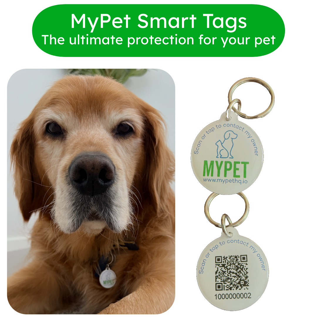 Smart Pet Tag