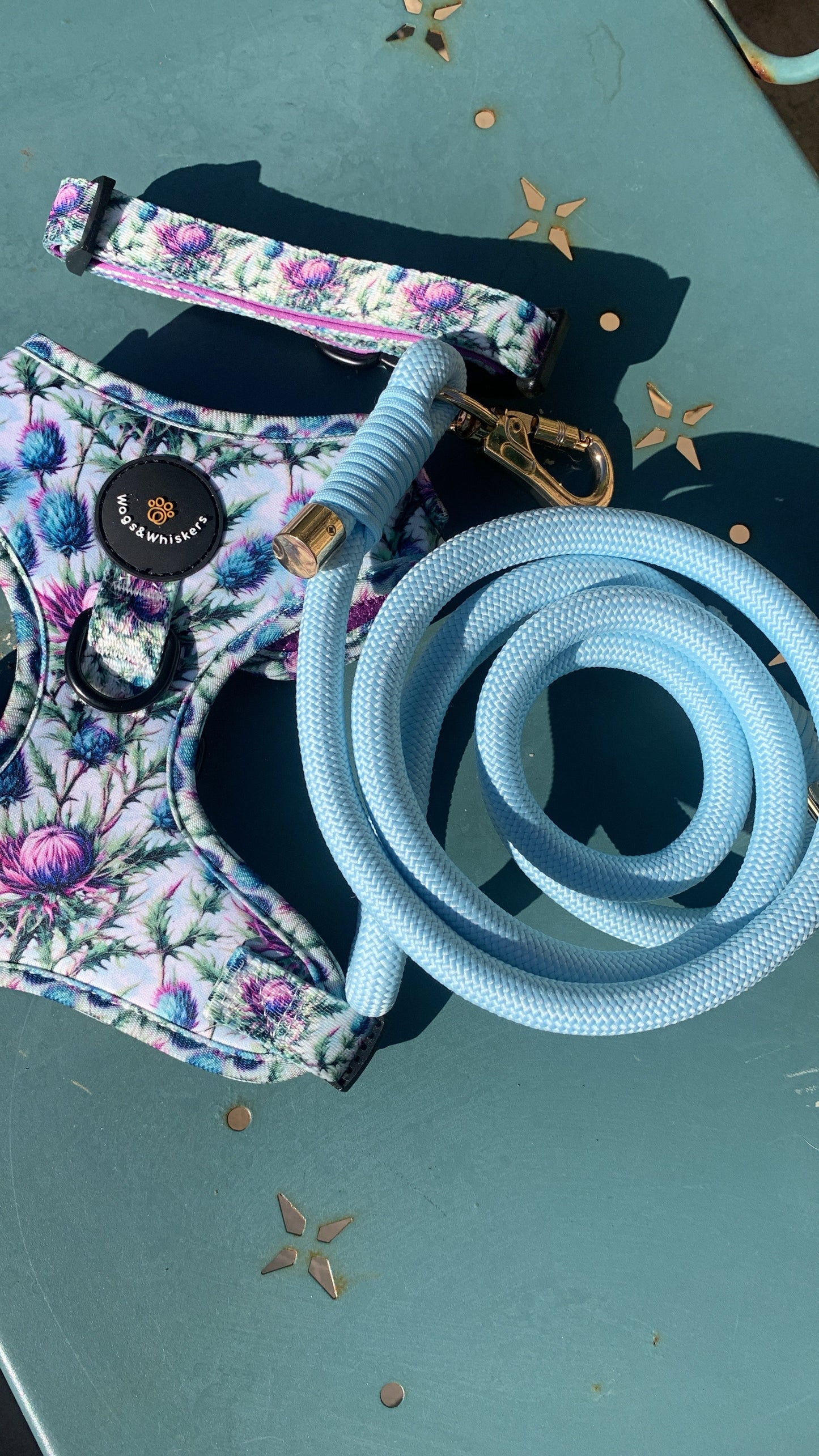 Powder Blue Rope Leash