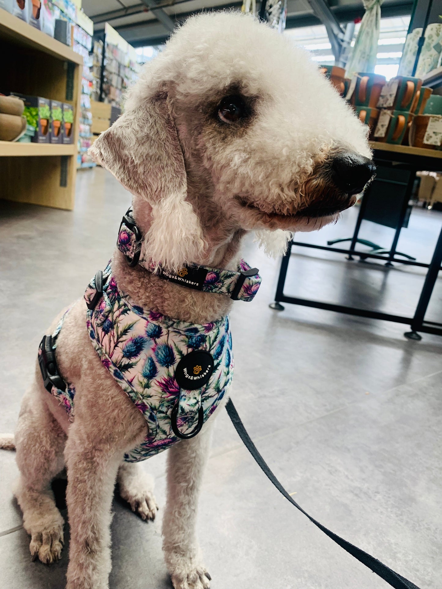 Bonnie Thistle Dog Harness