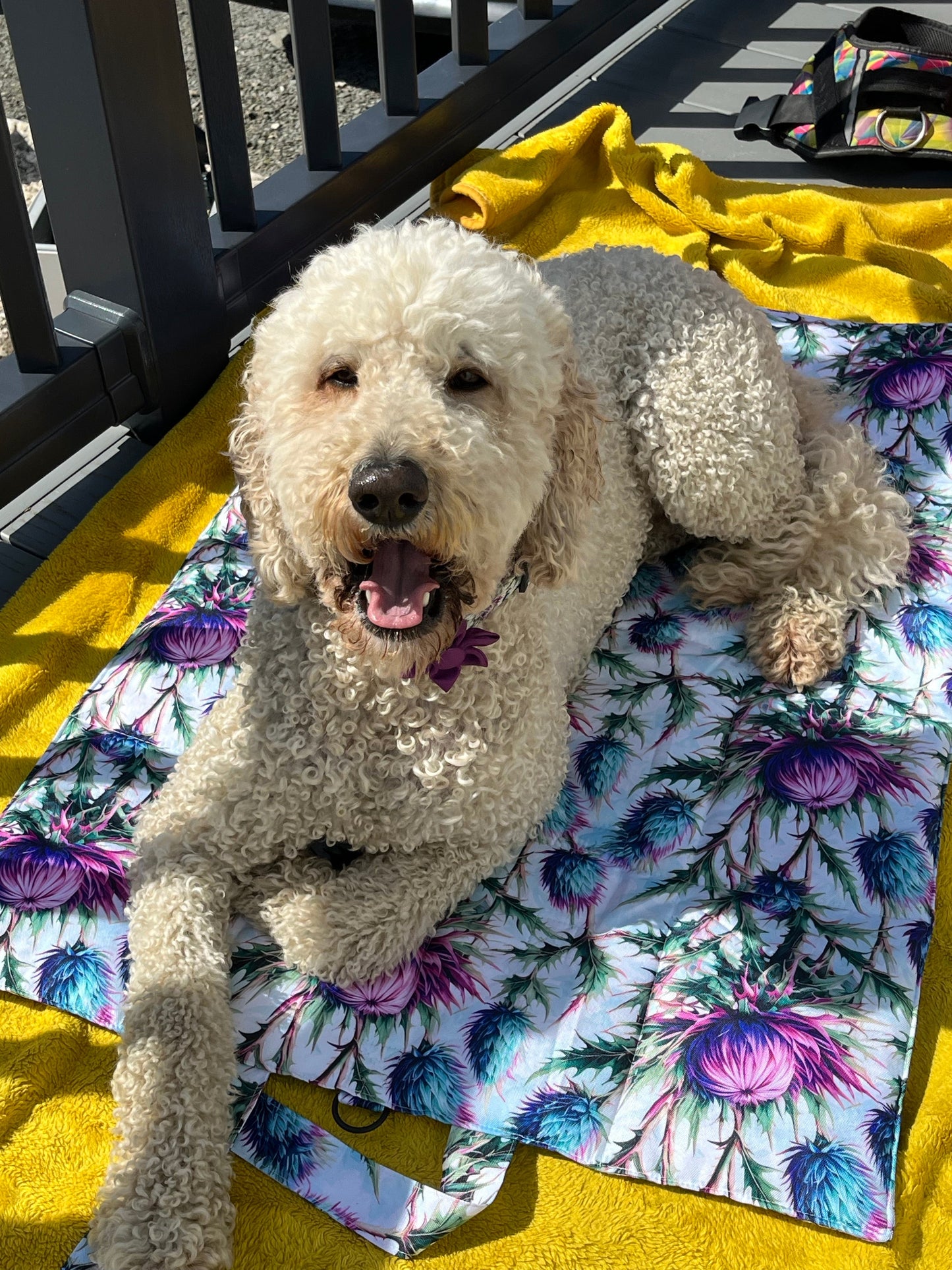 Bonnie Thistle Travel and Settle Mat