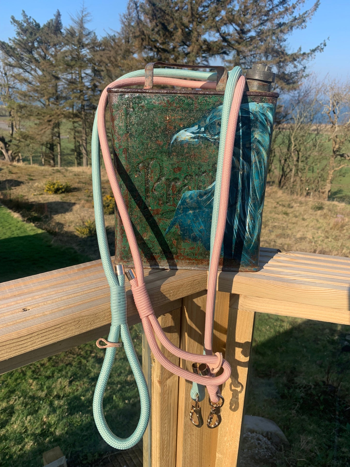 Blush Pink Rope Dog Leash