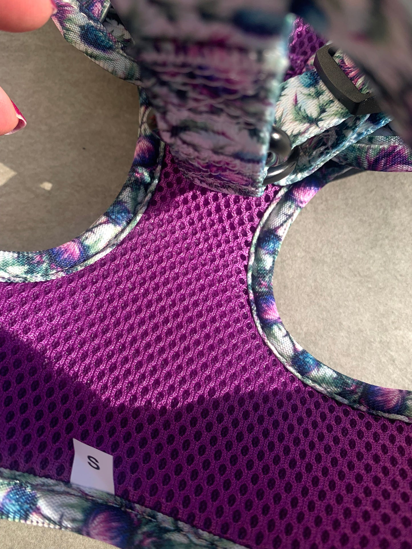 Bonnie Thistle Dog Harness