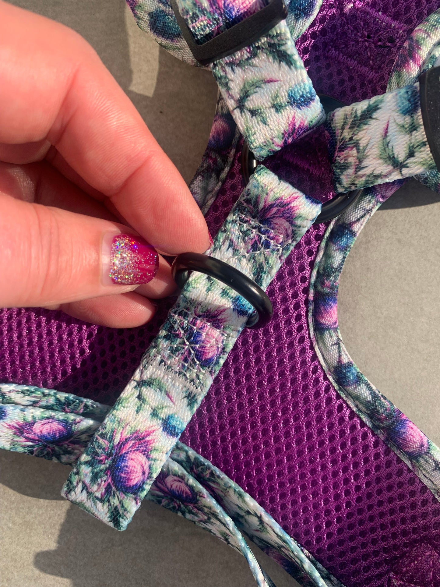 Bonnie Thistle Dog Harness