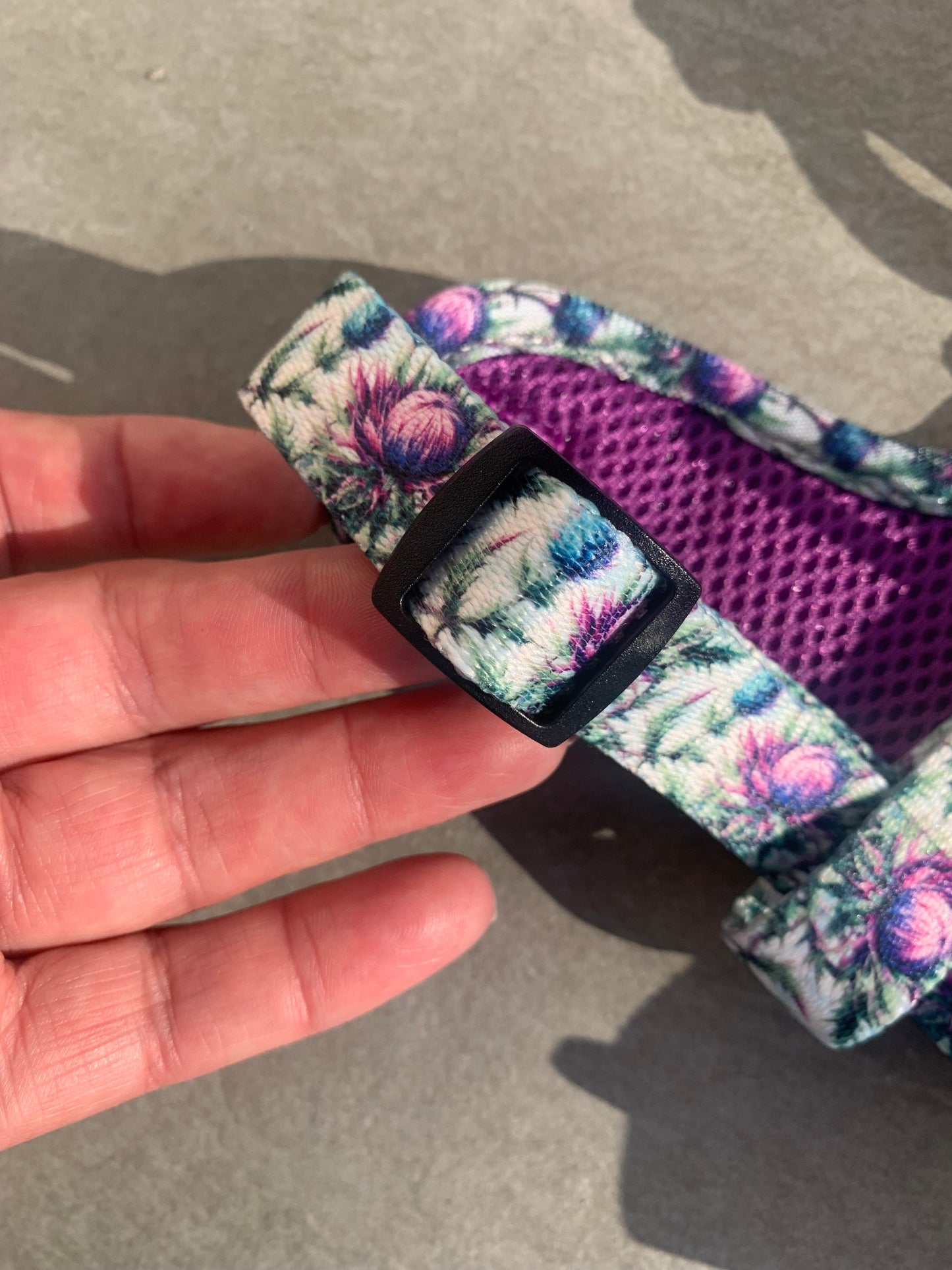 Bonnie Thistle Dog Harness