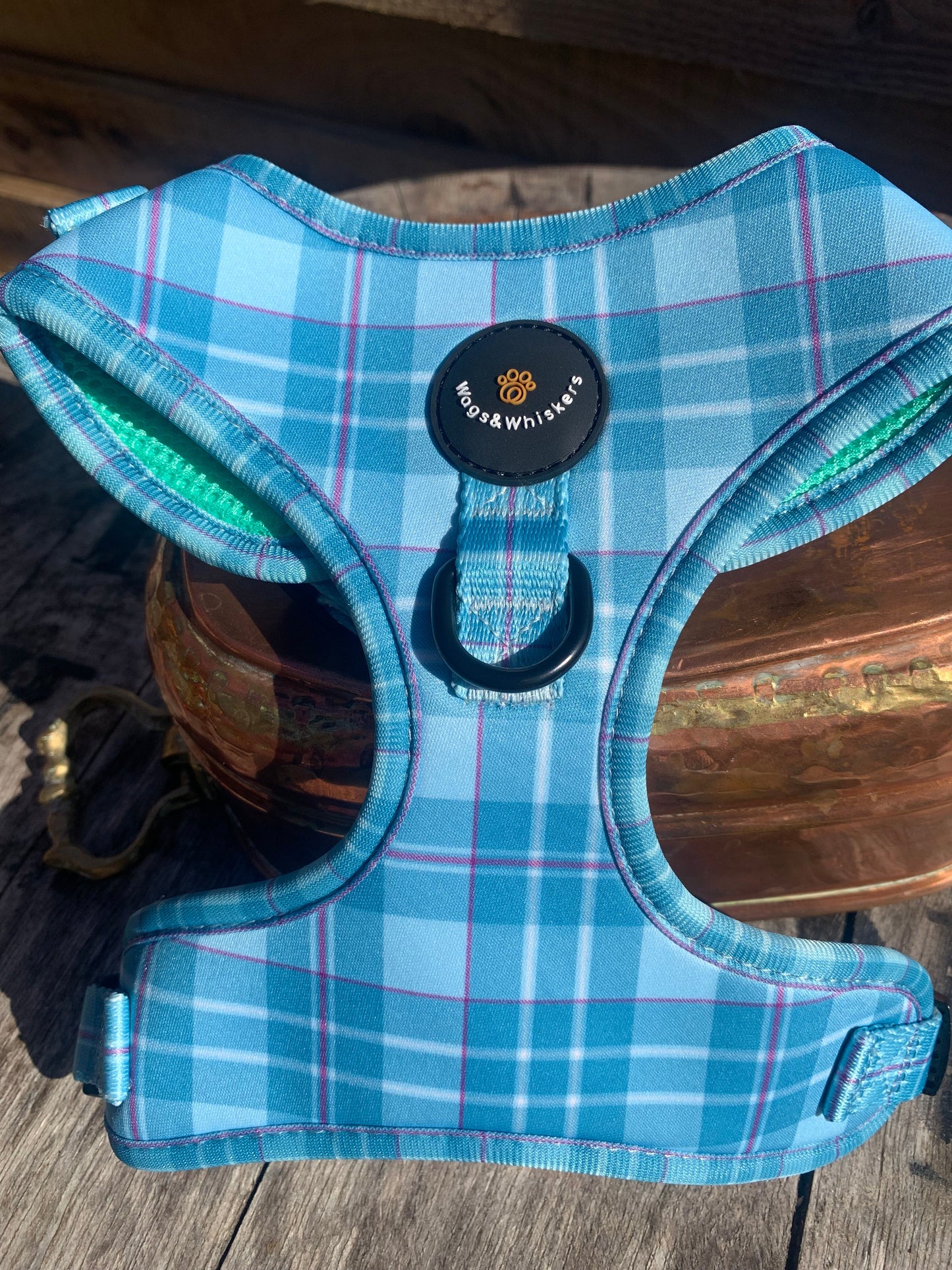 Turquoise Tartan Dog Harness