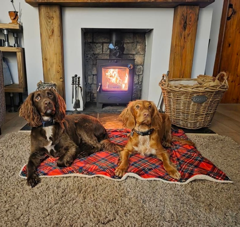 Royal Stewart Tartan Snuggle Blanket