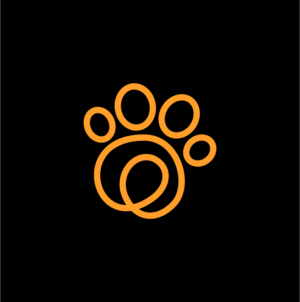 Crimson Red Rope Leash