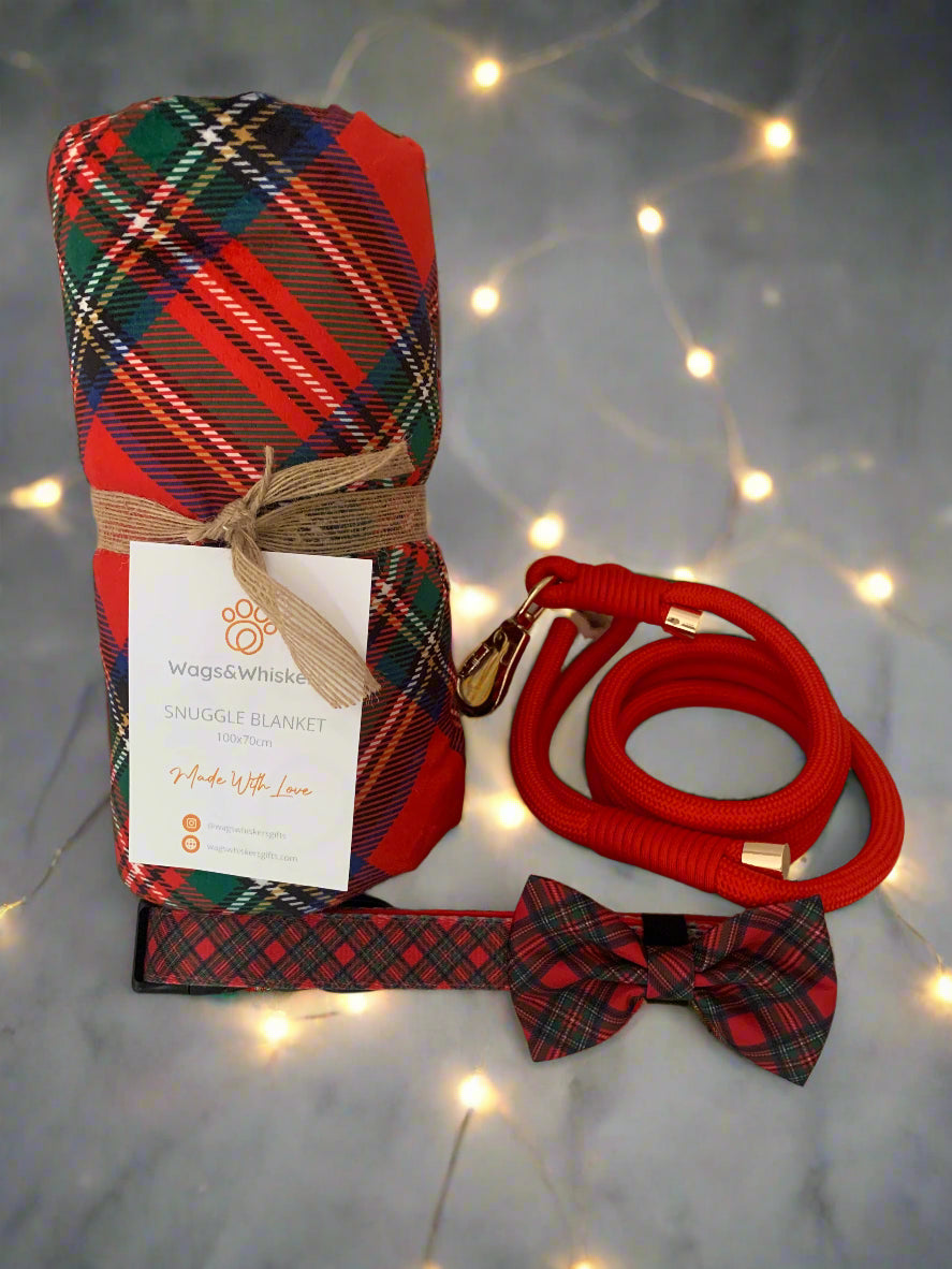 Crimson Red Rope Leash