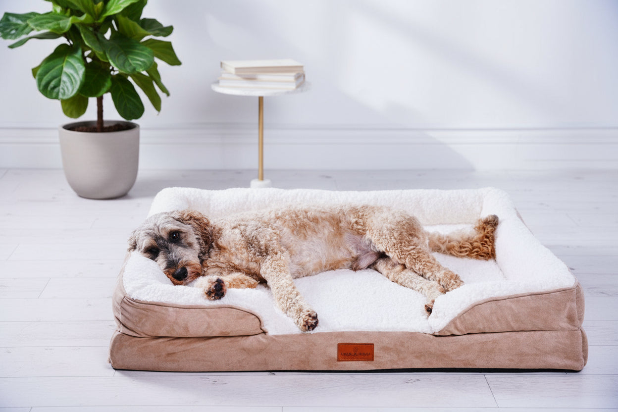 Washable Orthopaedic Dog Sofa Bed - Large